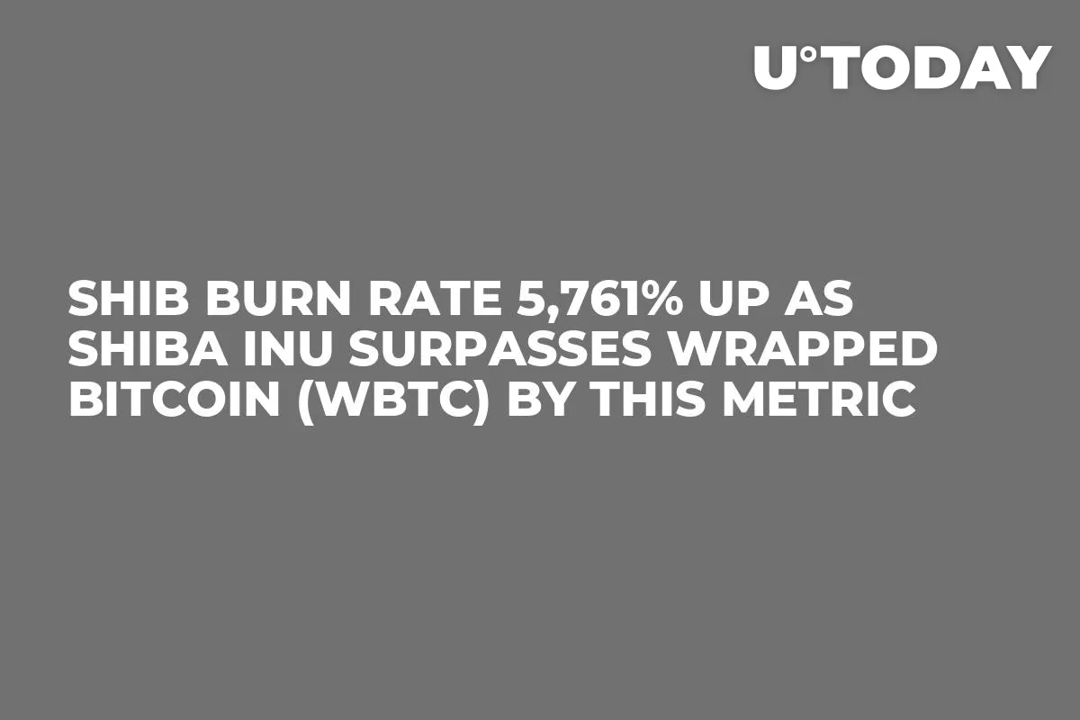 SHIB Burn Rate 5,761% Up as Shiba Inu Surpasses Wrapped Bitcoin (WBTC) by This Metric