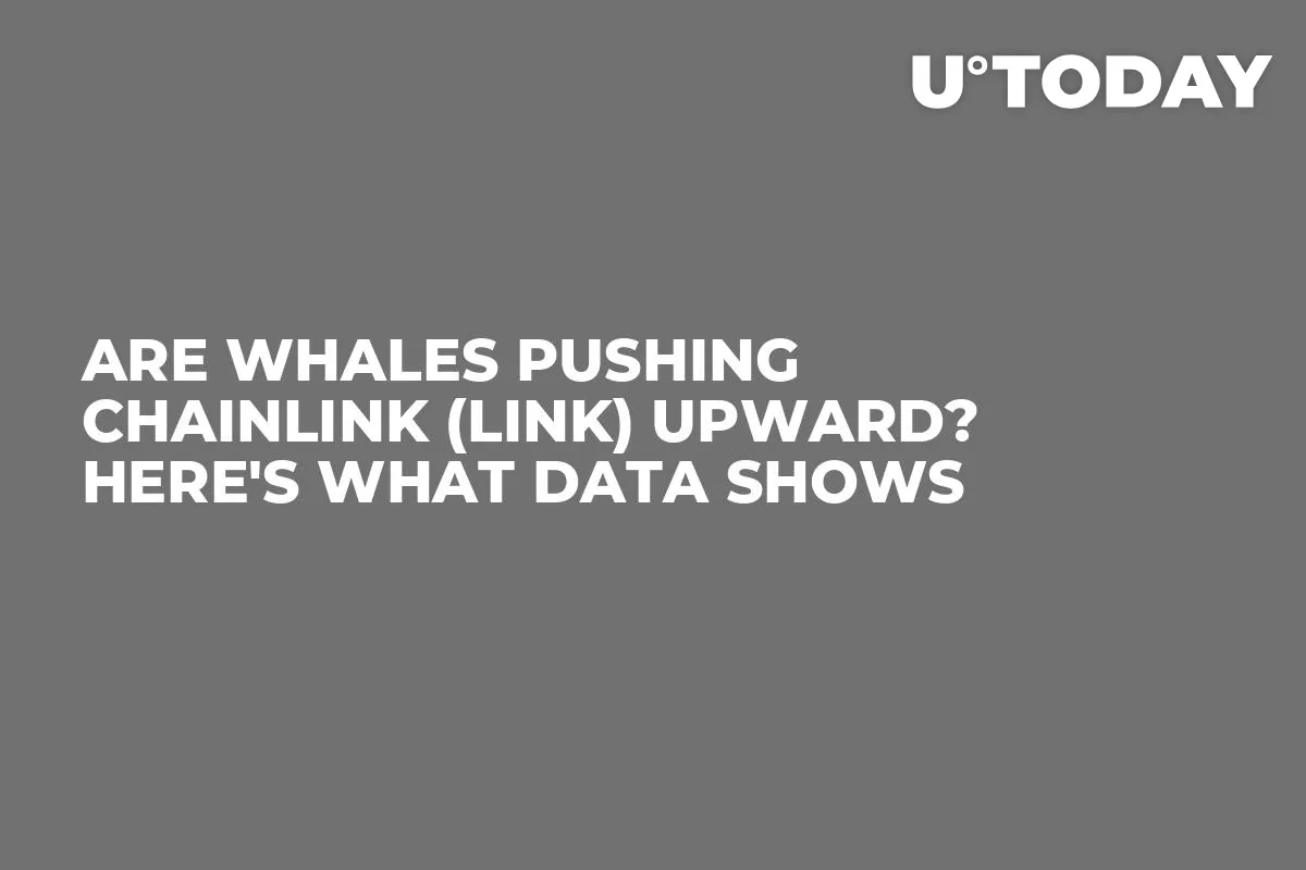 Are Whales Pushing Chainlink (LINK) Upward? Here's What Data Shows