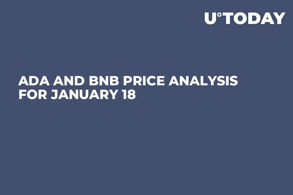 ADA and BNB Price Analysis for January 18