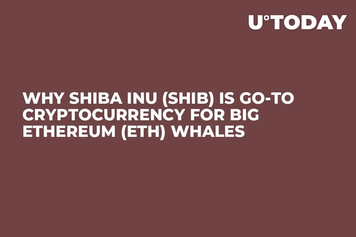 Why Shiba Inu (SHIB) is Go-to Cryptocurrency for Big Ethereum (ETH) Whales