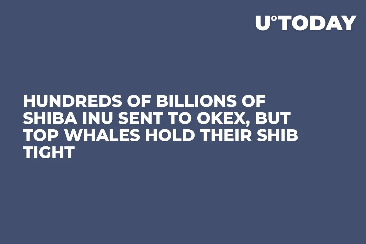 Hundreds of Billions of Shiba Inu Sent to OKEx, But Top Whales Hold Their SHIB Tight