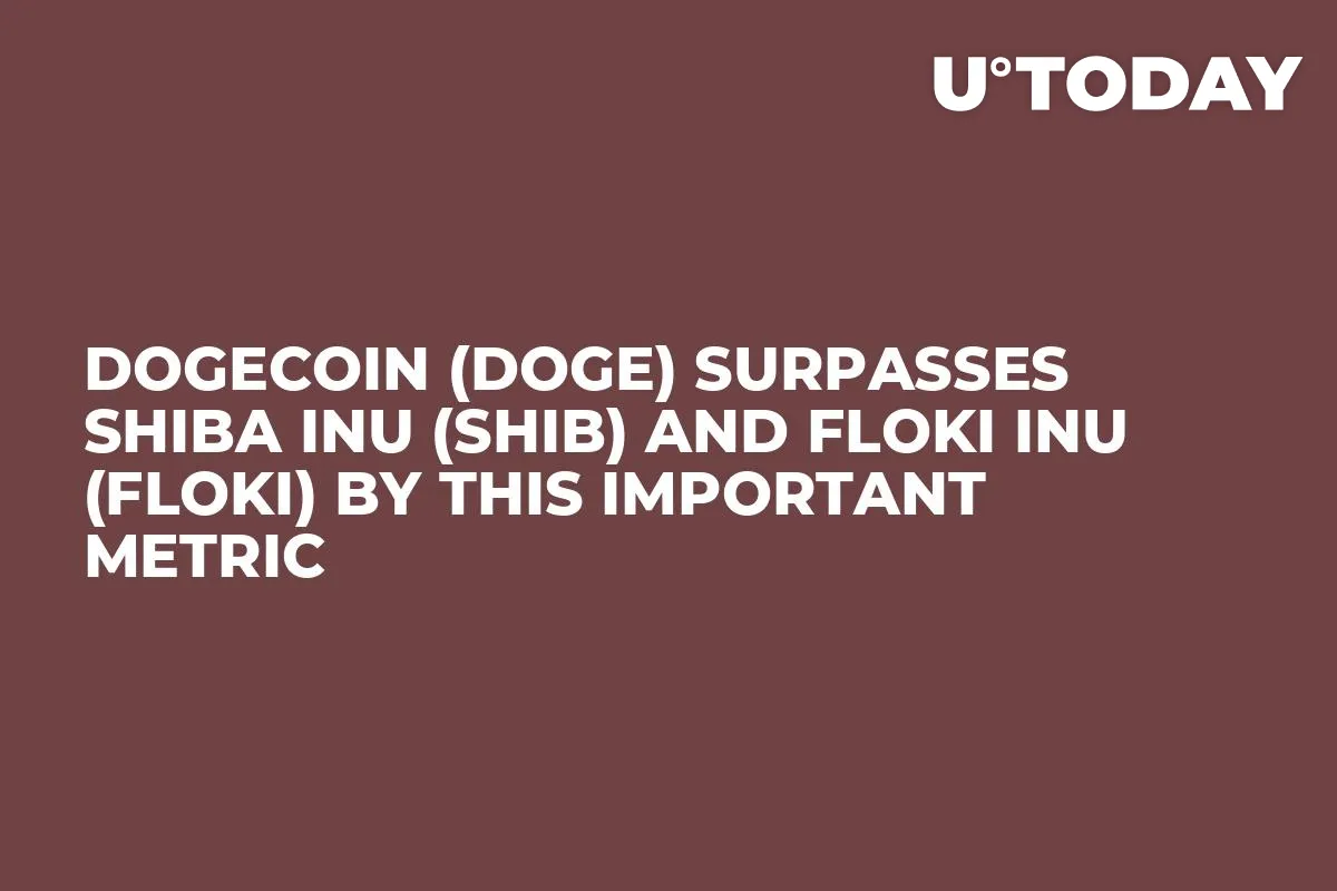 Dogecoin (DOGE) Surpasses Shiba Inu (SHIB) and Floki Inu (FLOKI) by This Important Metric