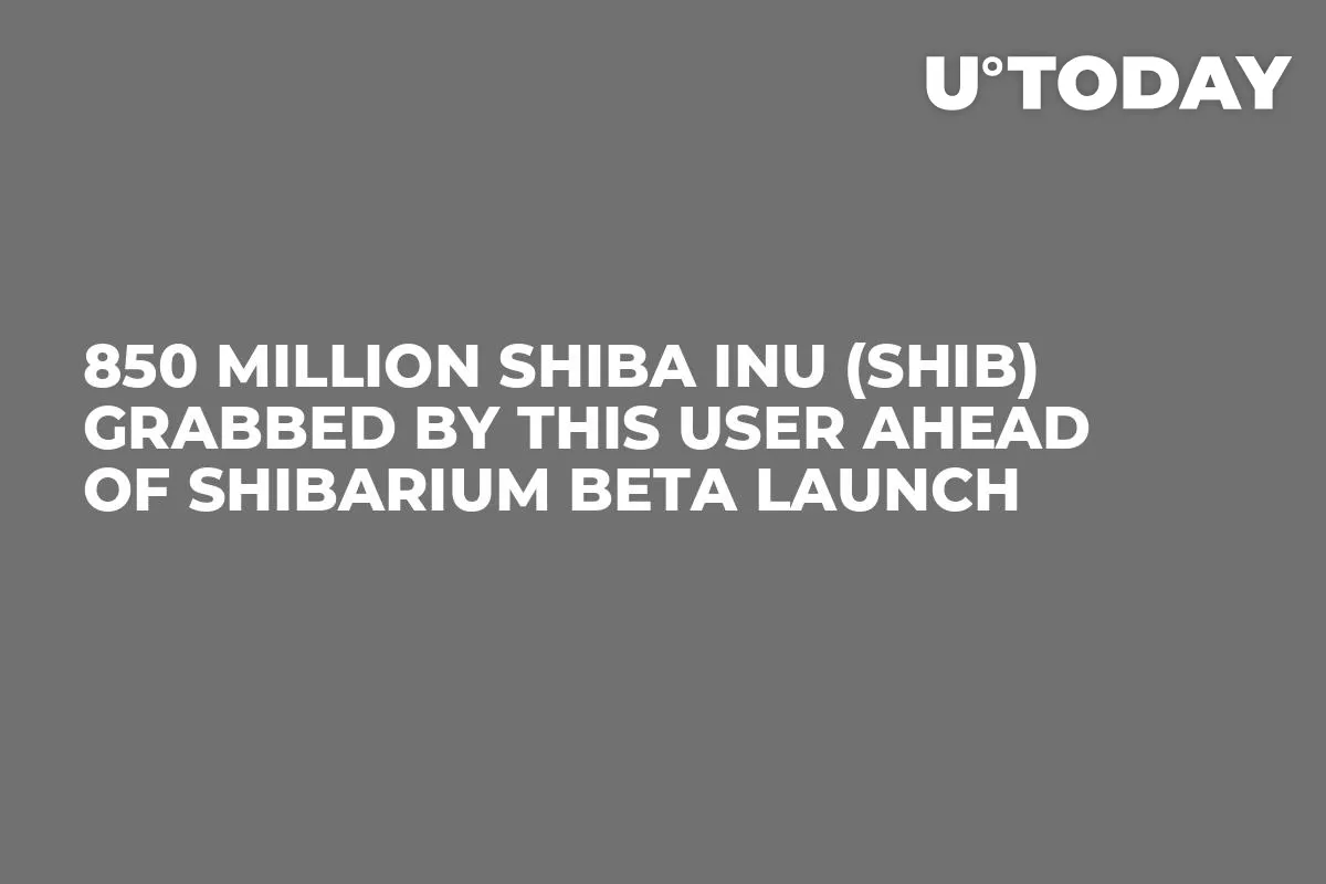 850 Million Shiba Inu (SHIB) Grabbed by This User Ahead of Shibarium Beta Launch