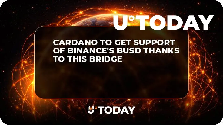 Cardano to Get Support of Binance's BUSD Thanks to This Bridge