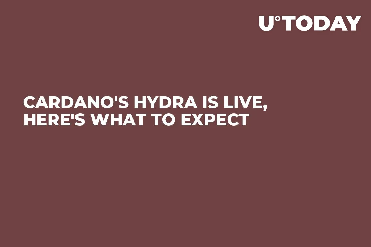 Cardano's Hydra Is Live, Here's What to Expect