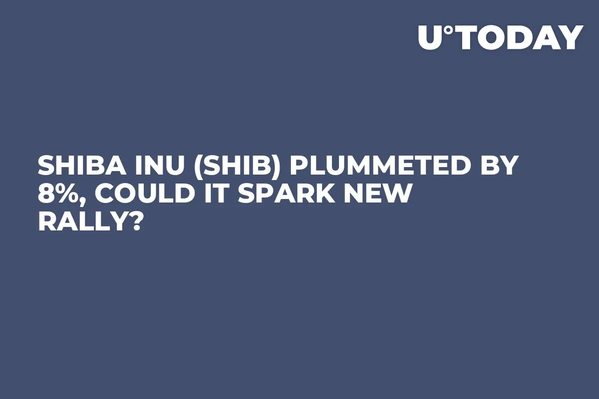 Shiba Inu (SHIB) Plummeted by 8%, Could It Spark New Rally?