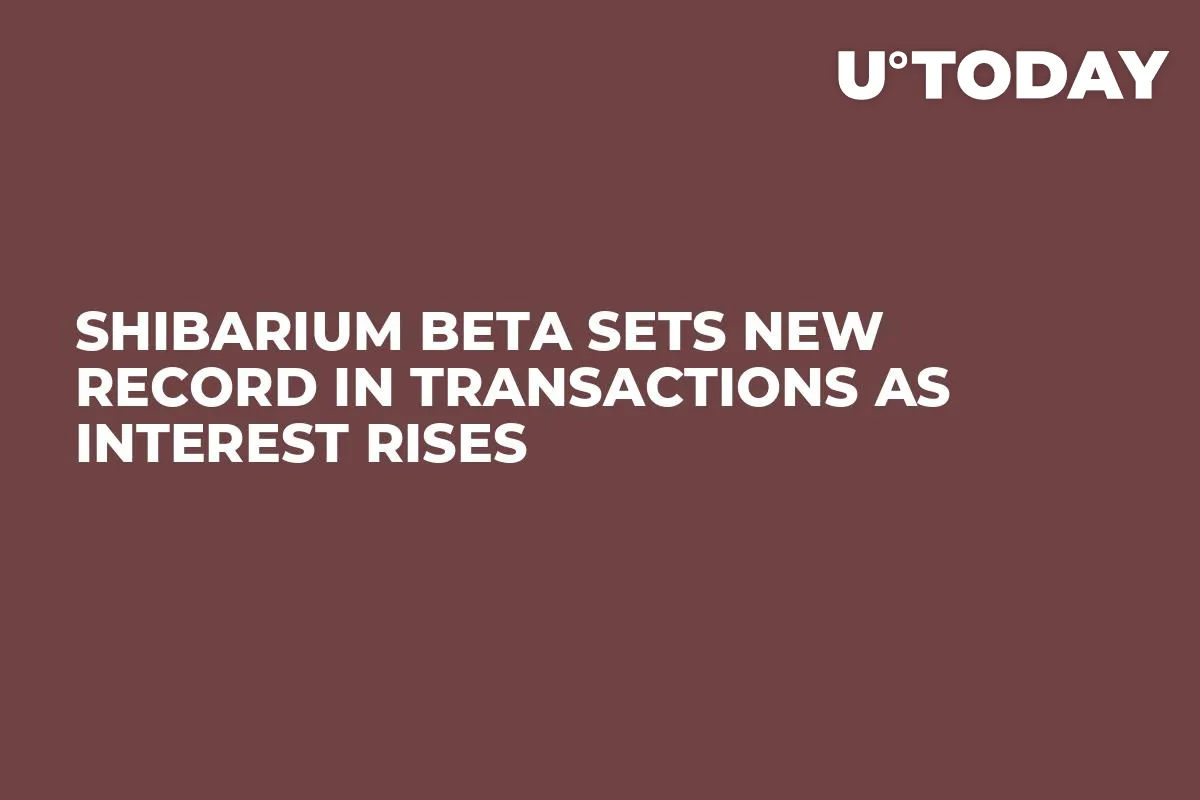 Shibarium Beta Sets New Record in Transactions as Interest Rises