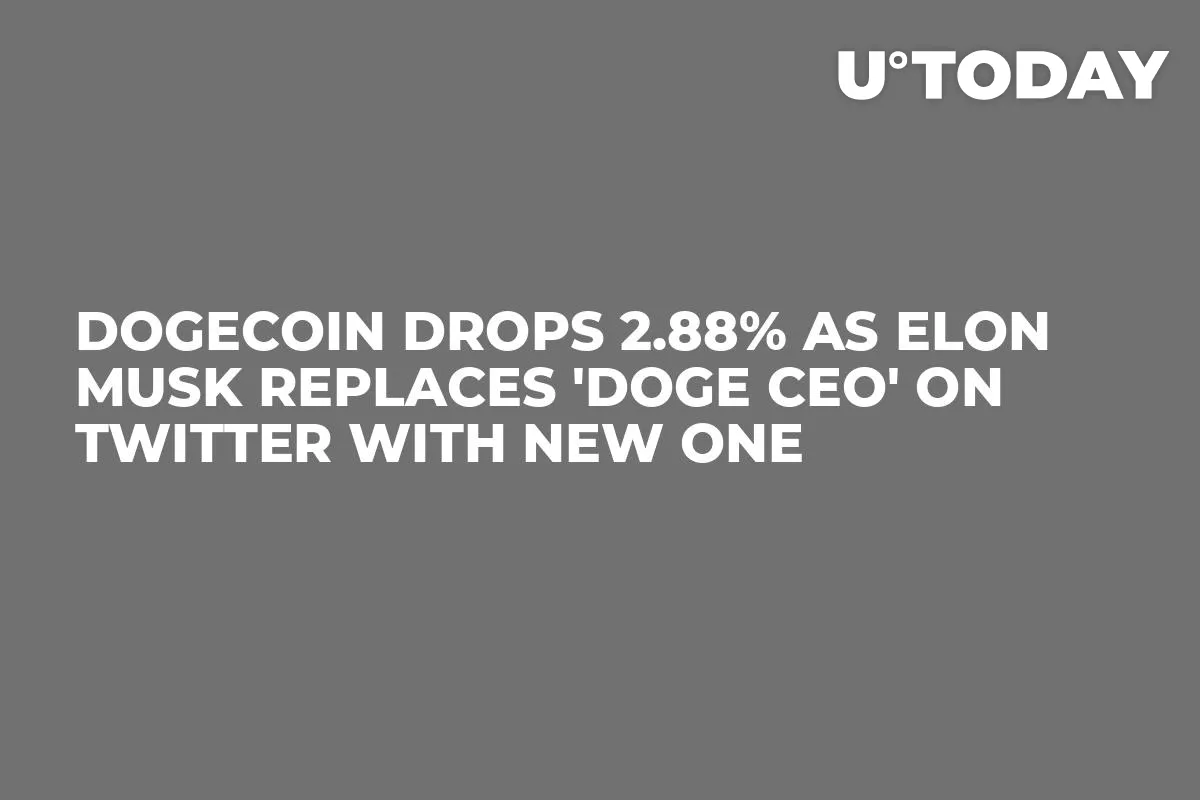 Dogecoin Drops 2.88% as Elon Musk Replaces 'DOGE CEO' on Twitter With New One
