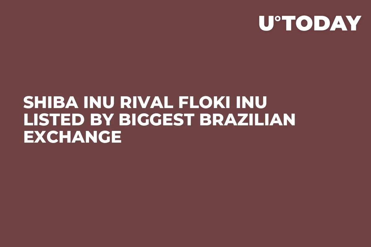 Shiba Inu Rival Floki Inu Listed by Biggest Brazilian Exchange 