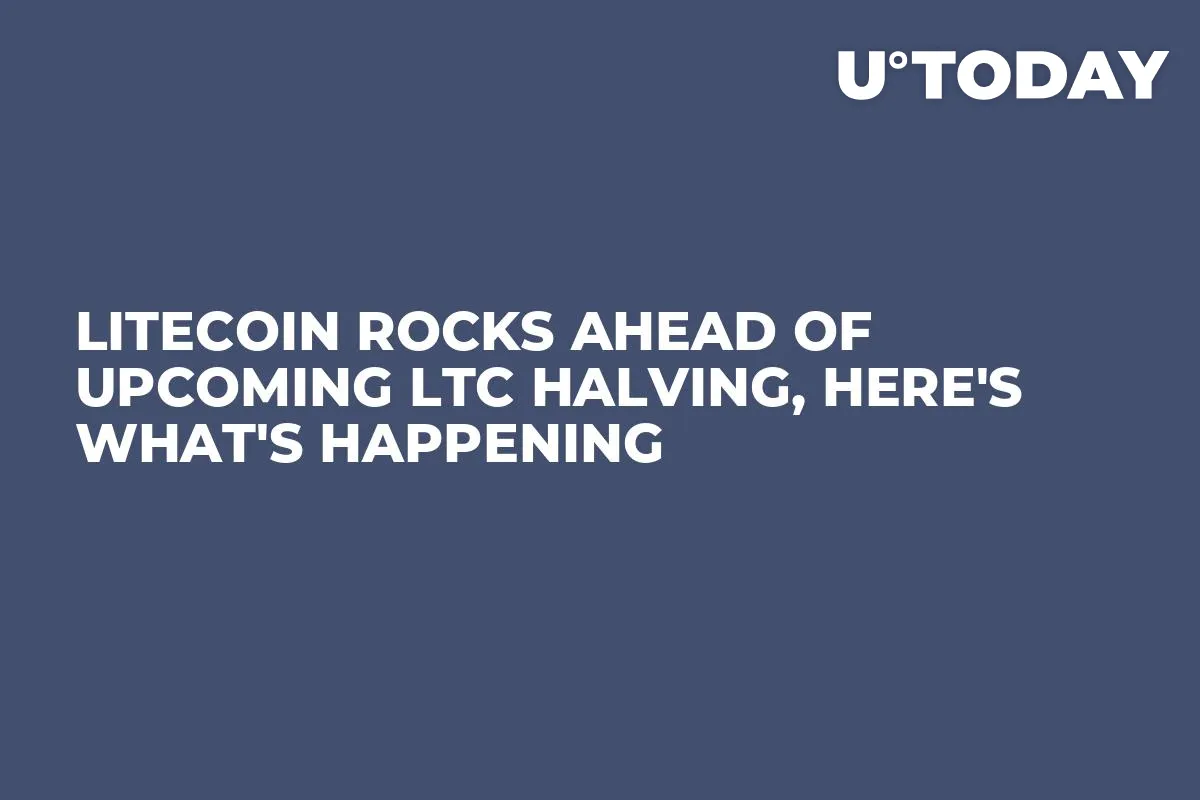 Litecoin Rocks Ahead of Upcoming LTC Halving, Here's What's Happening