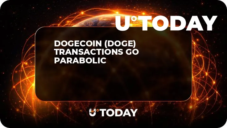 Dogecoin (DOGE) Transactions Go Parabolic 