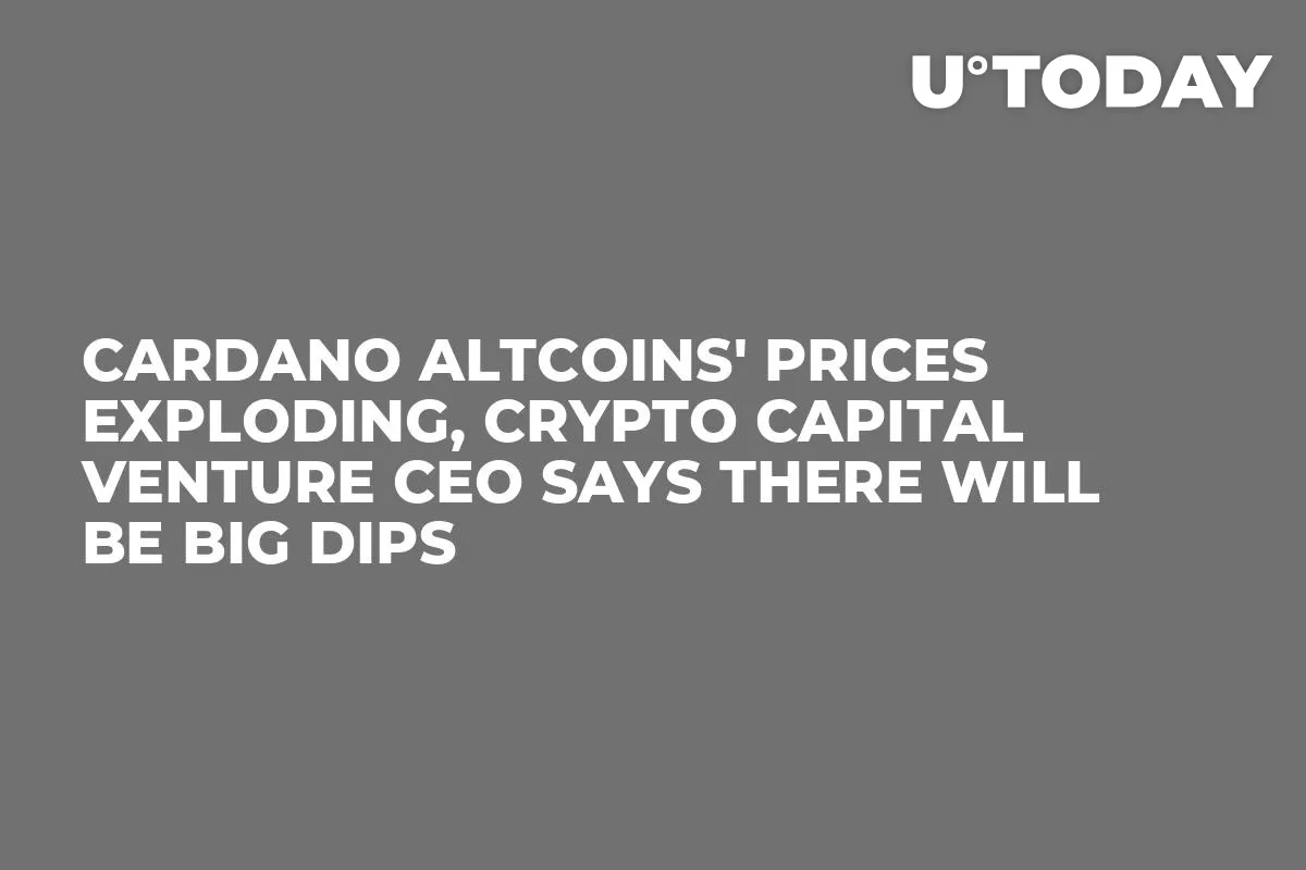 Cardano Altcoins' Prices Exploding, Crypto Capital Venture CEO Says There Will Be Big Dips