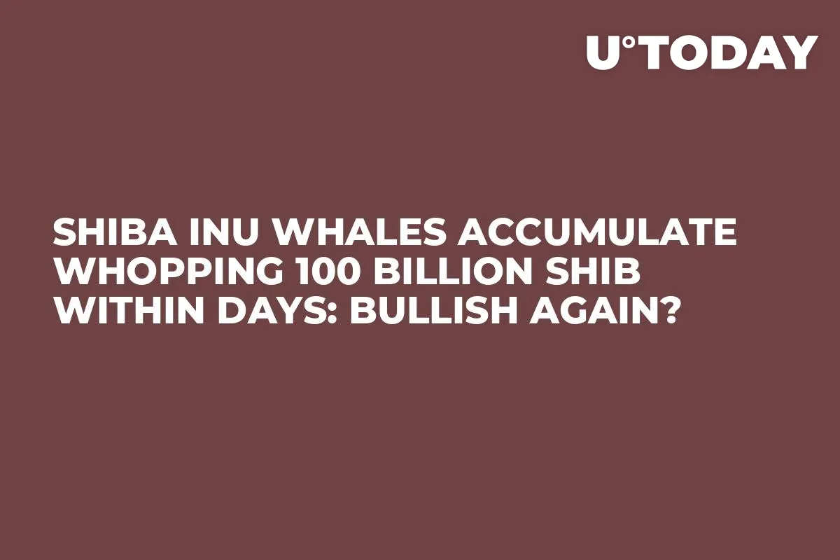 Shiba Inu Whales Accumulate Whopping 100 Billion SHIB Within Days: Bullish Again?