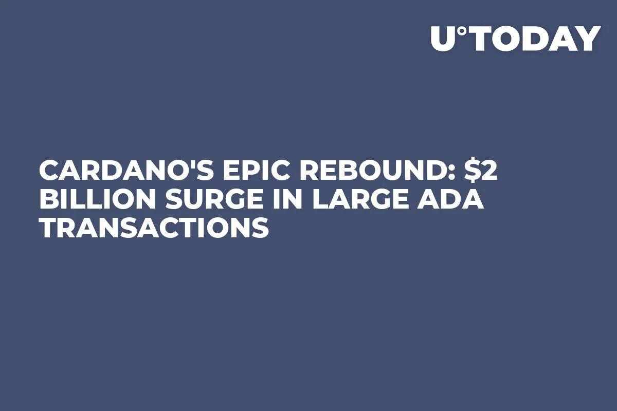 Cardano's Epic Rebound: $2 Billion Surge in Large ADA Transactions