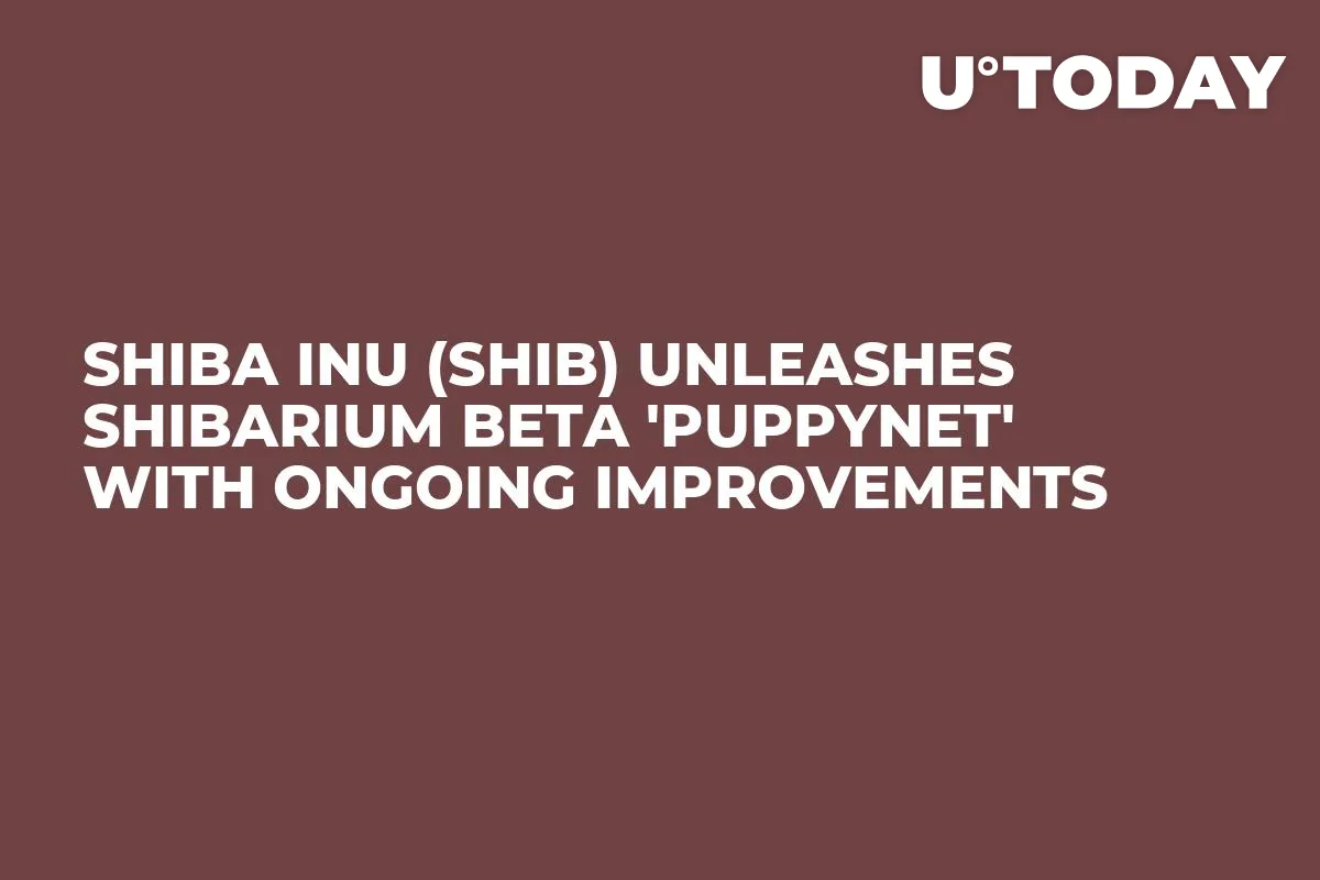Shiba Inu (SHIB) Unleashes Shibarium Beta 'Puppynet' With Ongoing Improvements