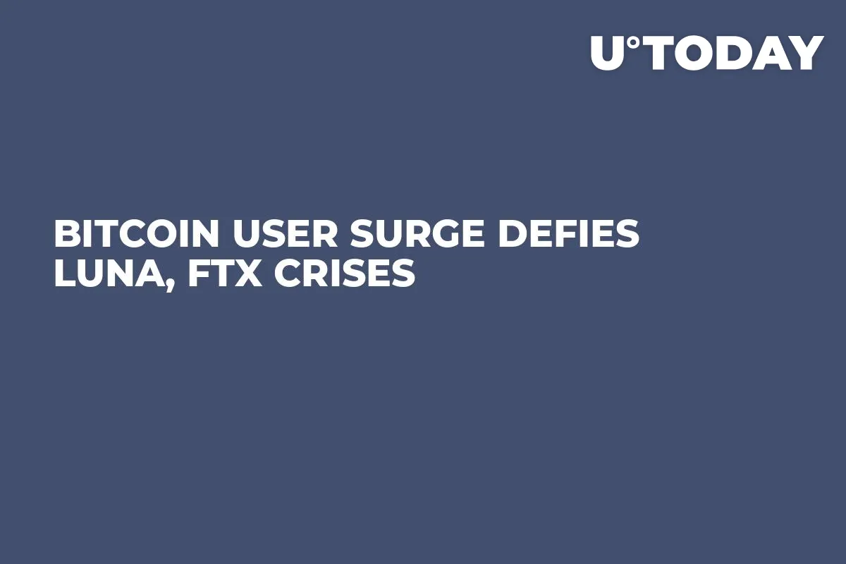 Bitcoin User Surge Defies LUNA, FTX Crises
