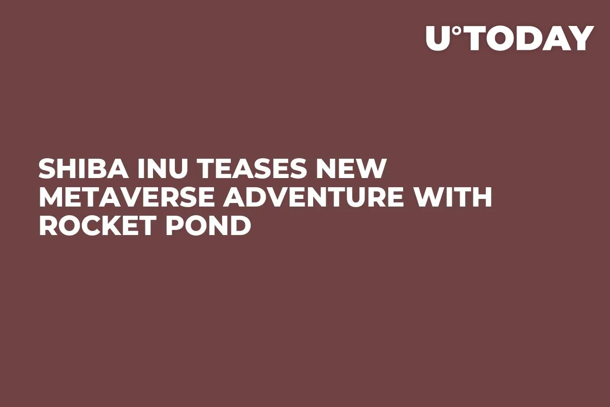 Shiba Inu Teases New Metaverse Adventure with Rocket Pond