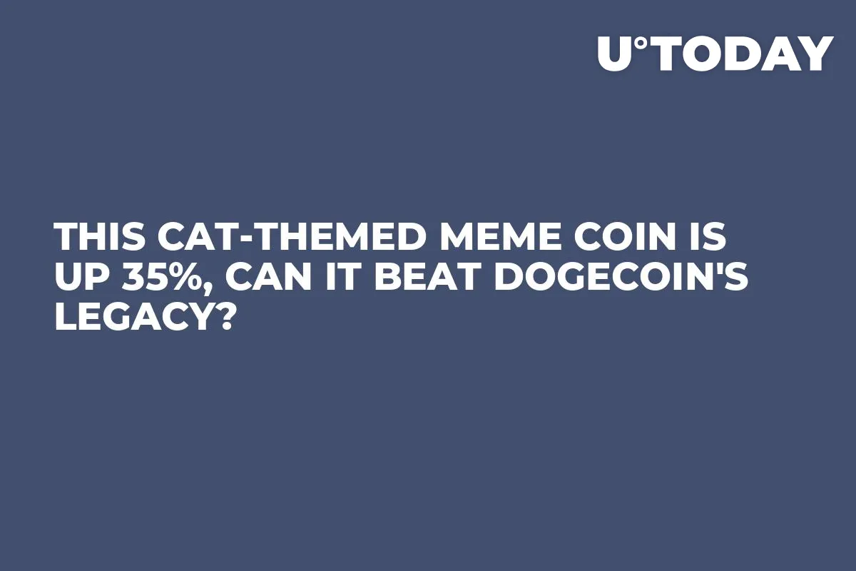 This Cat-Themed Meme Coin Is up 35%, Can It Beat Dogecoin's Legacy?