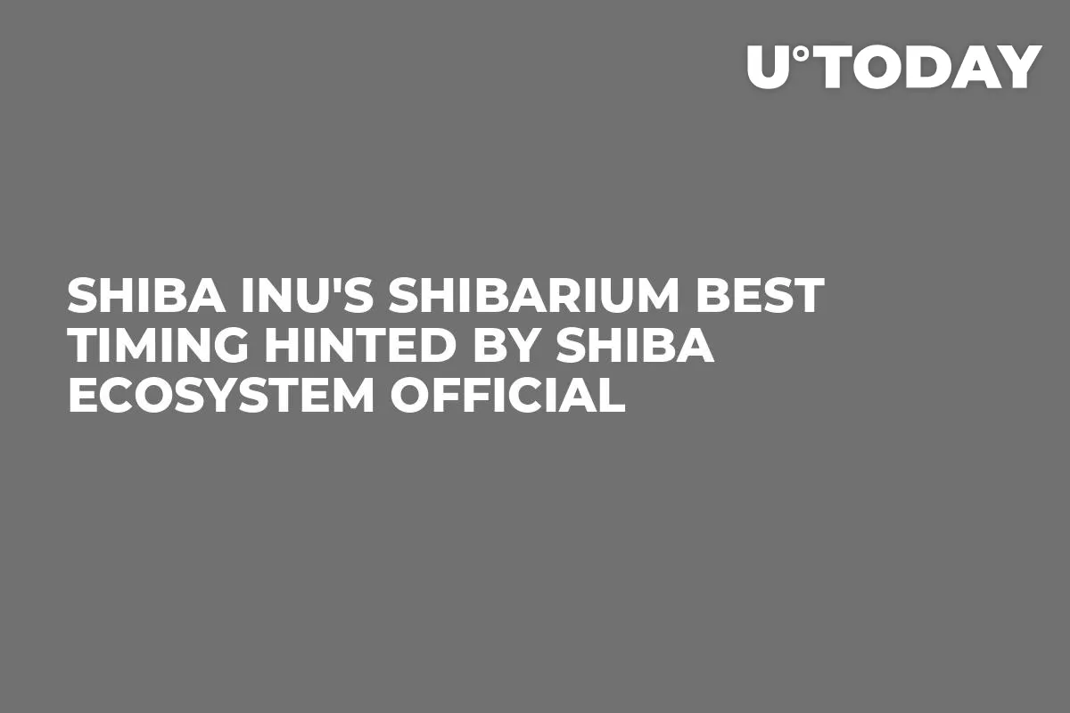 Shiba Inu's Shibarium Best Timing Hinted by Shiba Ecosystem Official