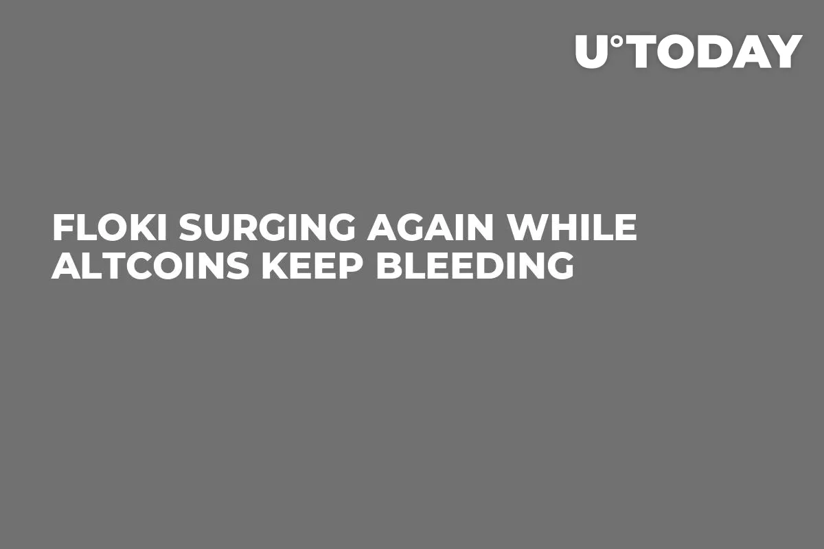 FLOKI Surging Again While Altcoins Keep Bleeding
