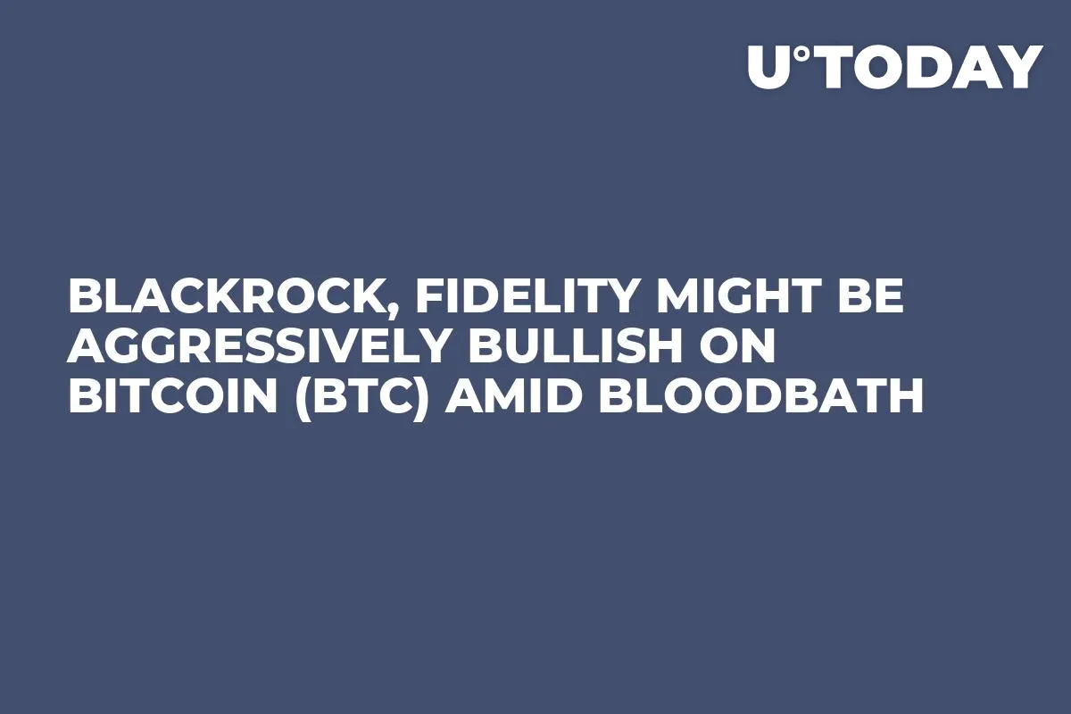 BlackRock, Fidelity Might Be Aggressively Bullish on Bitcoin (BTC) Amid Bloodbath