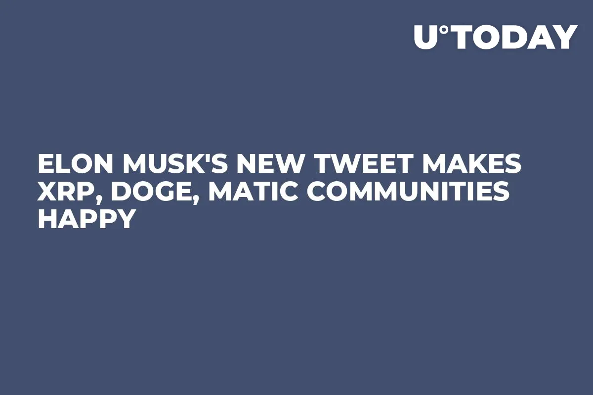 Elon Musk's New Tweet Makes XRP, DOGE, MATIC Communities Happy