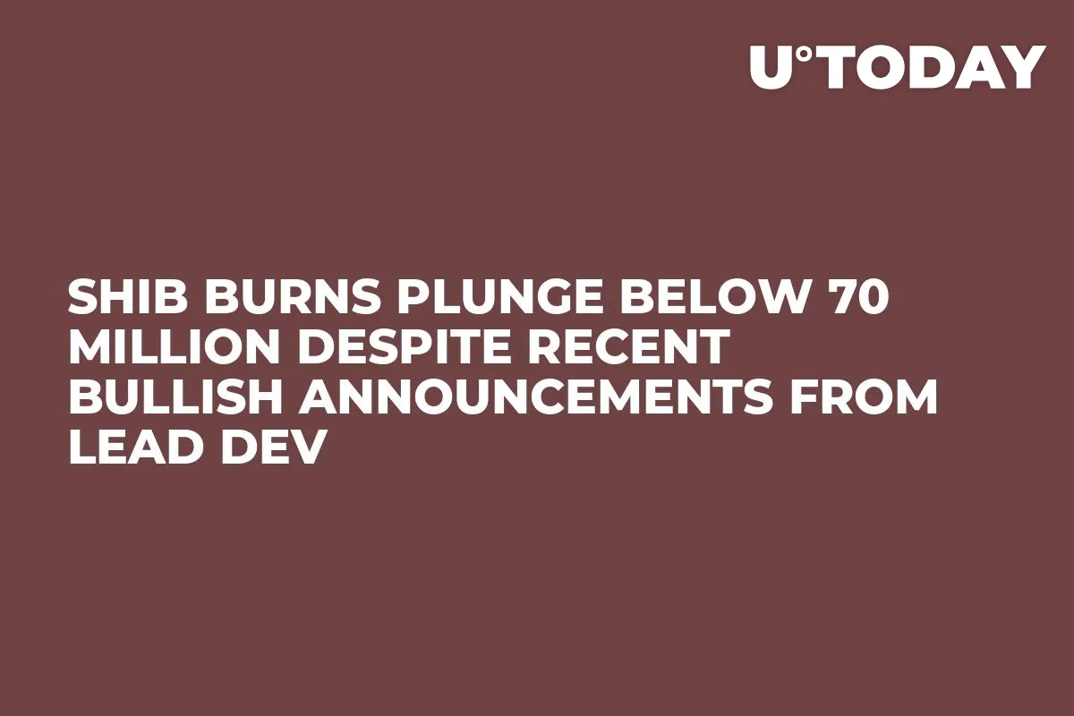 SHIB Burns Plunge Below 70 Million Despite Recent Bullish Announcements From Lead Dev