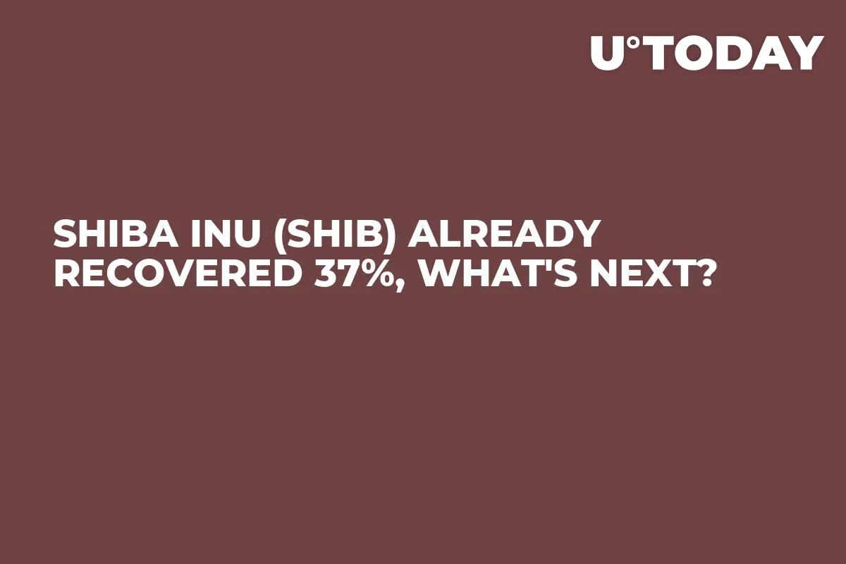 Shiba Inu (SHIB) Already Recovered 37%, What's Next?