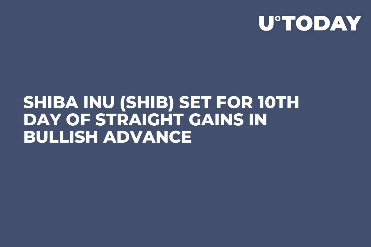 Shiba Inu (SHIB) Set for 10th Day of Straight Gains in Bullish Advance