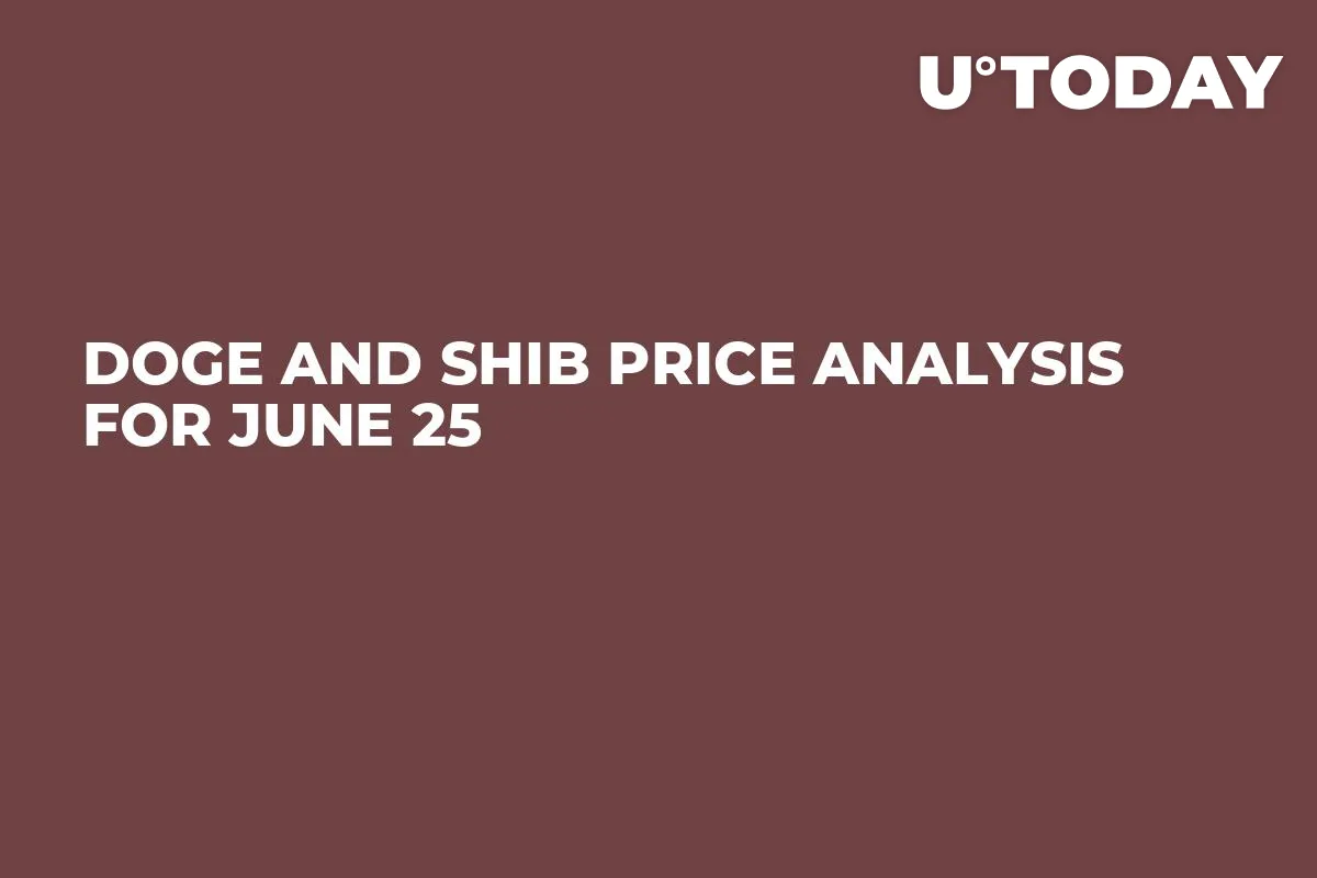 DOGE and SHIB Price Analysis for June 25