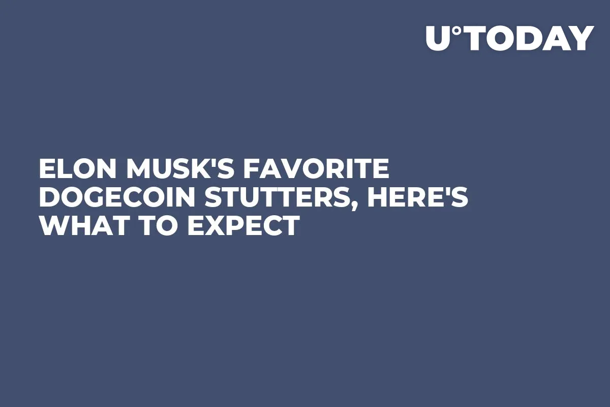 Elon Musk's Favorite Dogecoin Stutters, Here's What to Expect