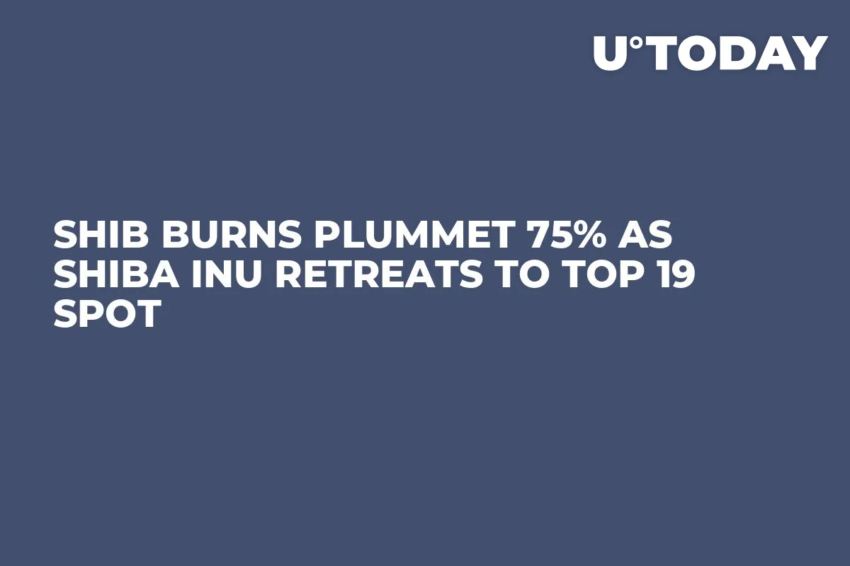 SHIB Burns Plummet 75% as Shiba Inu Retreats to Top 19 Spot