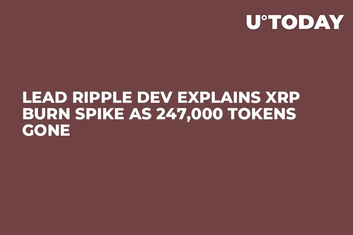 Lead Ripple Dev Explains XRP Burn Spike as 247,000 Tokens Gone