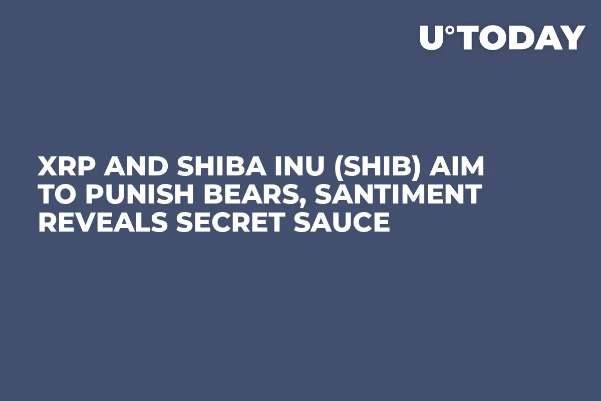 XRP and Shiba Inu (SHIB) Aim to Punish Bears, Santiment Reveals Secret Sauce
