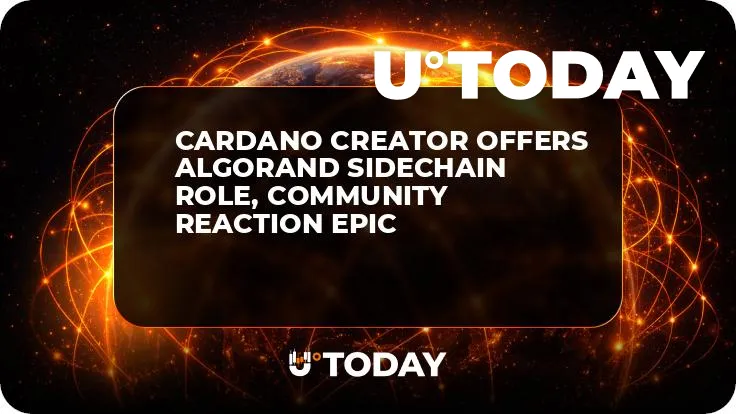 Cardano Creator Offers Algorand Sidechain Role, Community Reaction Epic