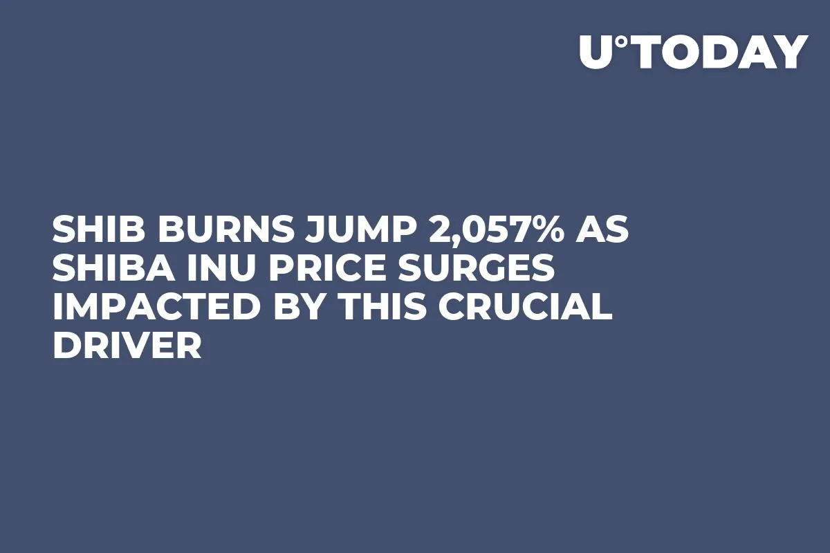 SHIB Burns Jump 2,057% as Shiba Inu Price Surges Impacted by This Crucial Driver