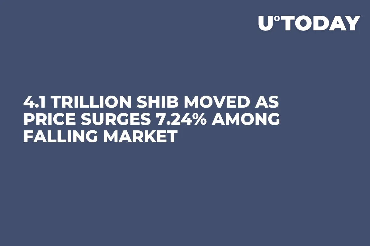 4.1 Trillion SHIB Moved as Price Surges 7.24% Among Falling Market