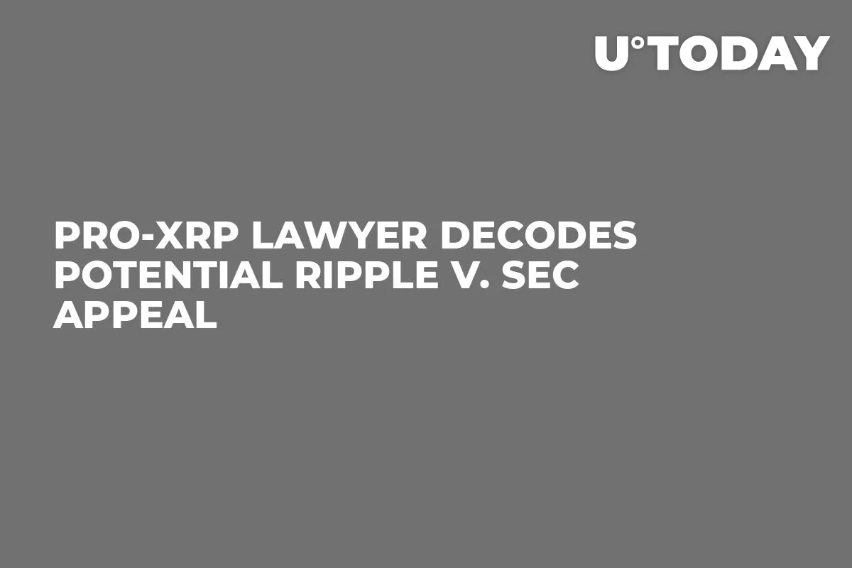 Pro-XRP Lawyer Decodes Potential Ripple v. SEC Appeal