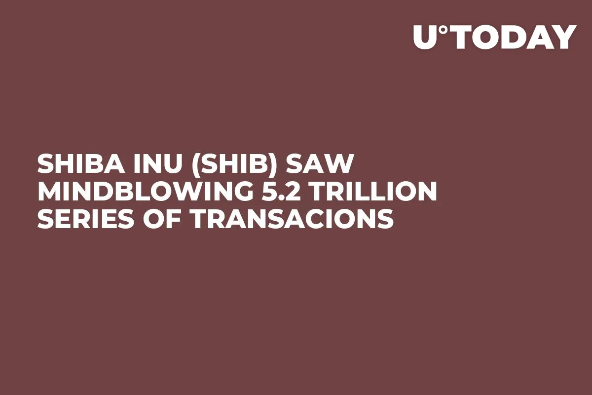 Shiba Inu (SHIB) Saw Mindblowing 5.2 Trillion Series of Transacions