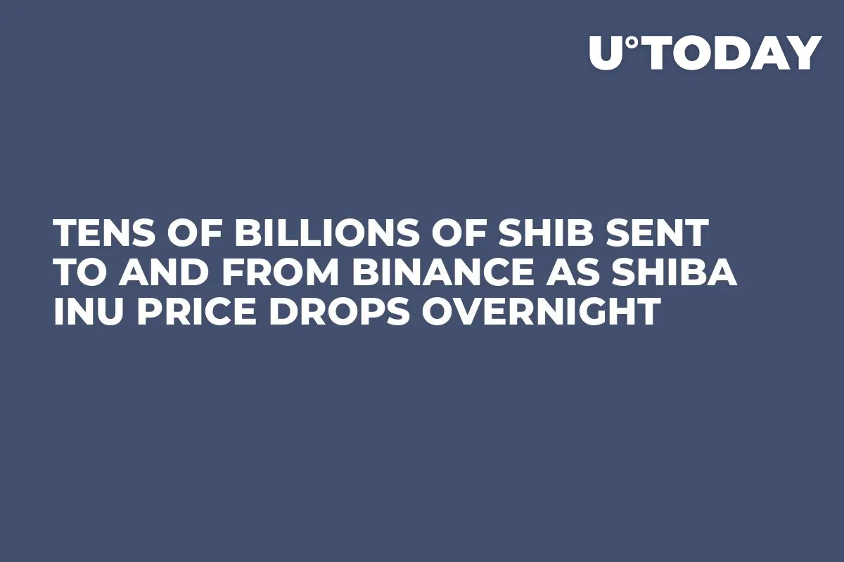 Tens of Billions of SHIB Sent to and From Binance as Shiba Inu Price Drops Overnight