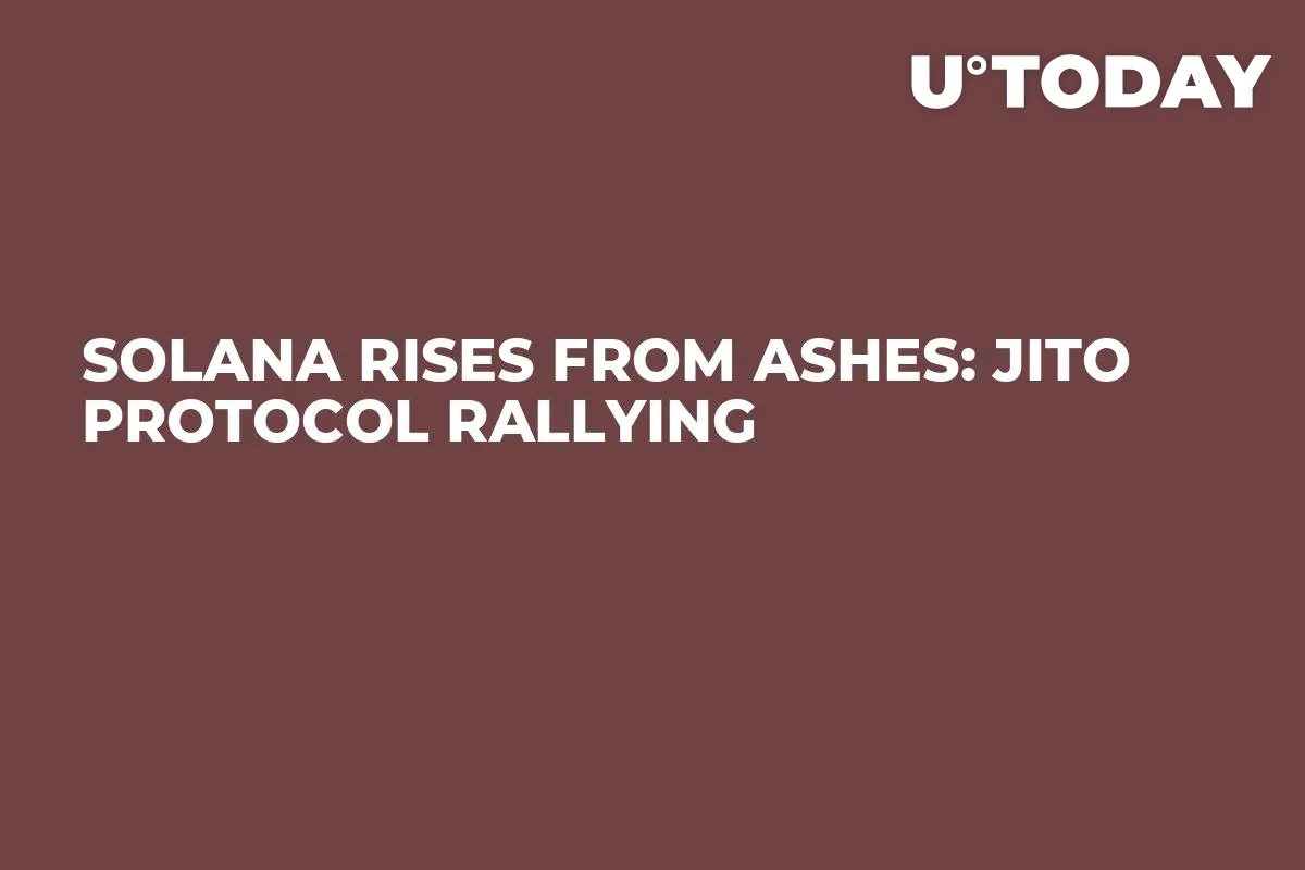 Solana Rises From Ashes: Jito Protocol Rallying