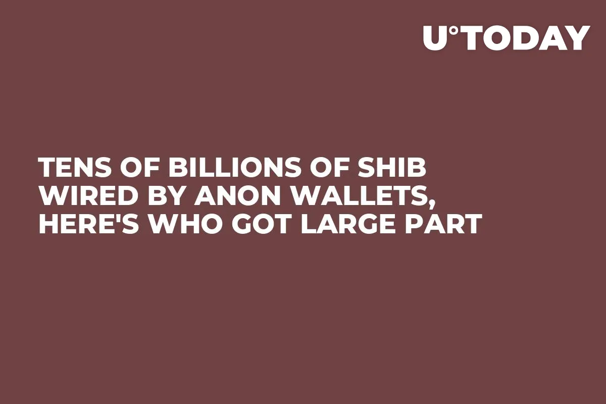 Tens of Billions of SHIB Wired by Anon Wallets, Here's Who Got Large Part