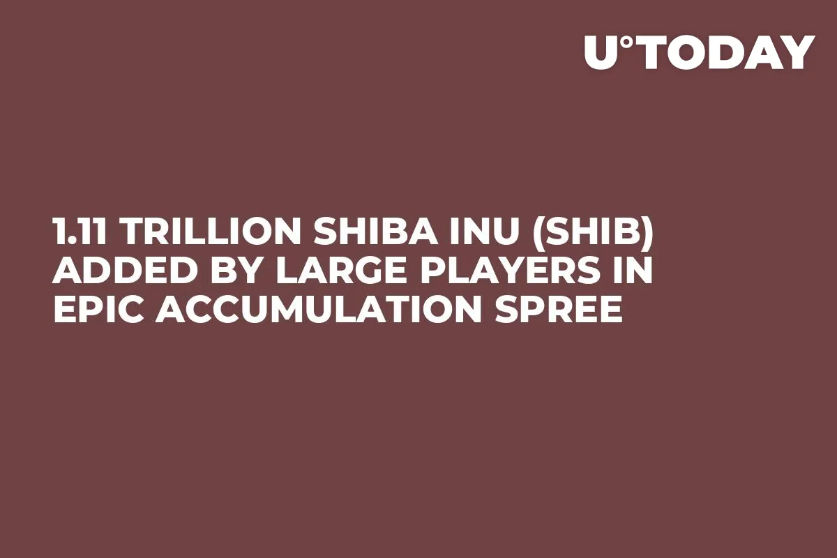 1.11 Trillion Shiba Inu (SHIB) Added by Large Players in Epic Accumulation Spree