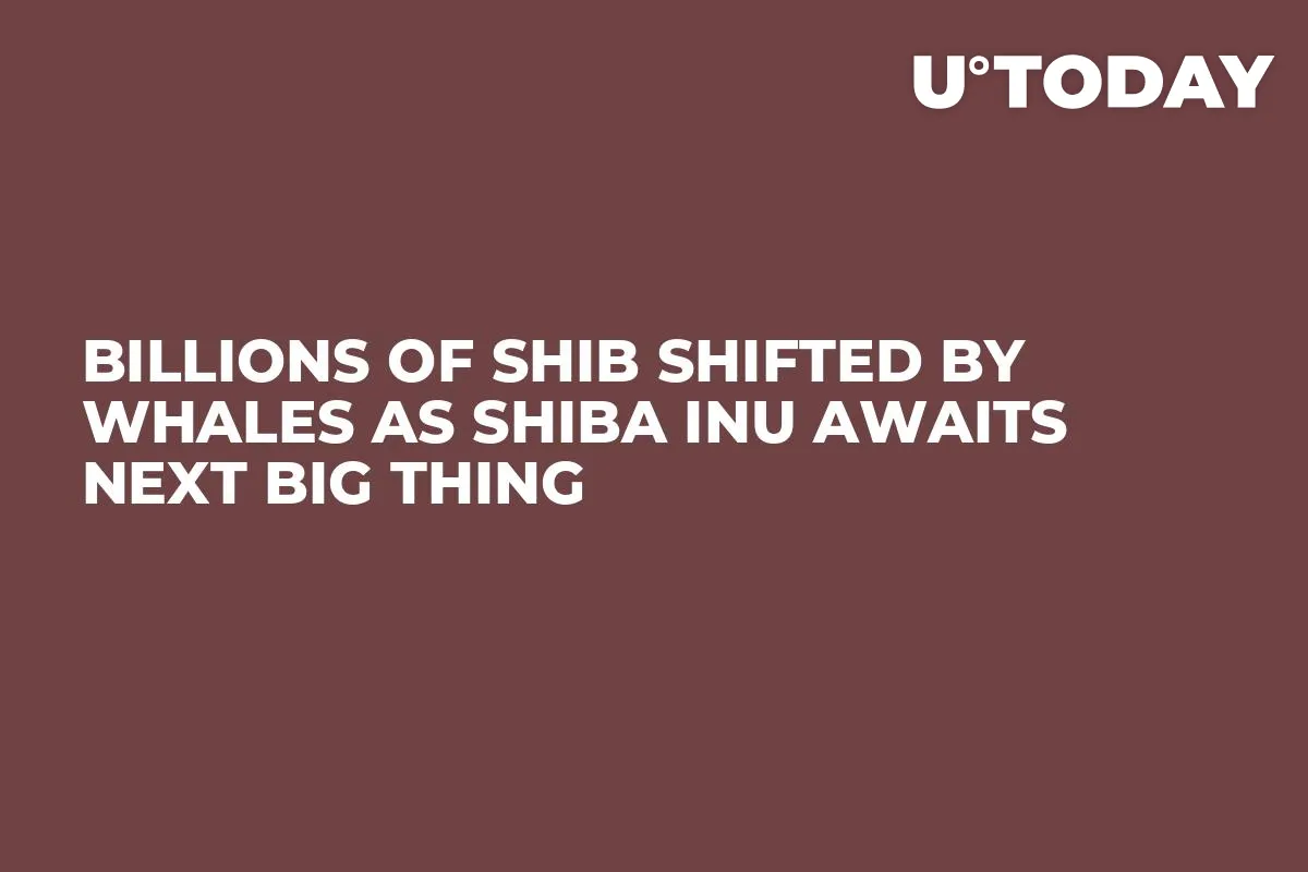 Billions of SHIB Shifted by Whales as Shiba Inu Awaits Next Big Thing