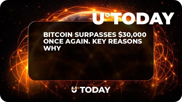 Bitcoin Surpasses $30,000 Once Again. Key Reasons Why 