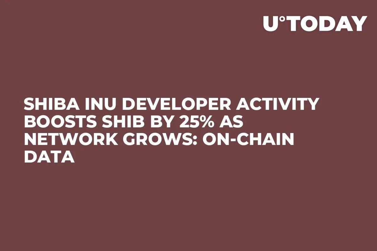 Shiba Inu Developer Activity Boosts SHIB by 25% as Network Grows: On-chain Data