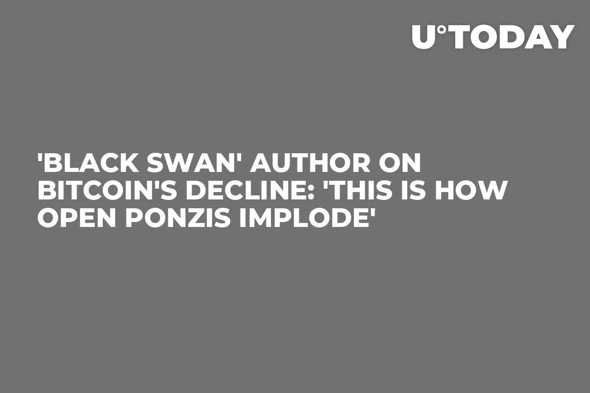 'Black Swan' Author on Bitcoin's Decline: 'This Is How Open Ponzis Implode'