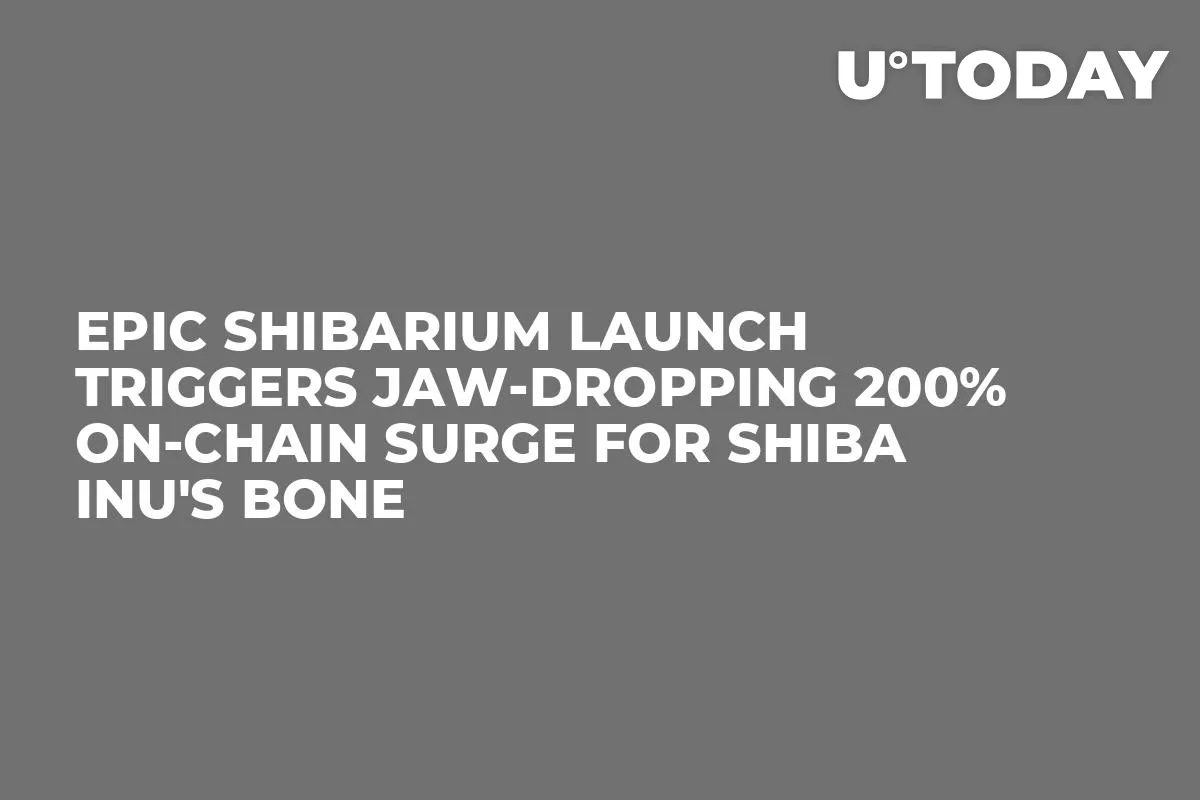 Epic Shibarium Launch Triggers Jaw-Dropping 200% On-Chain Surge for Shiba Inu's BONE