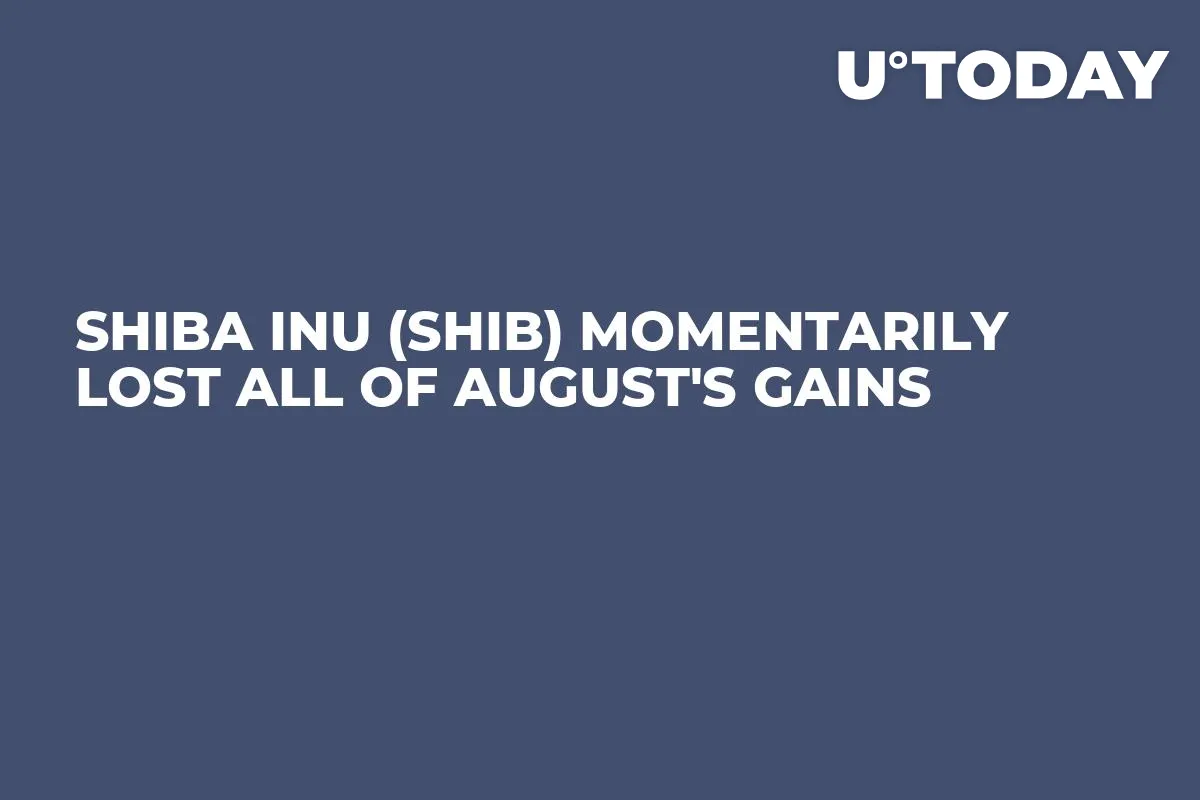 Shiba Inu (SHIB) Momentarily Lost All of August's Gains