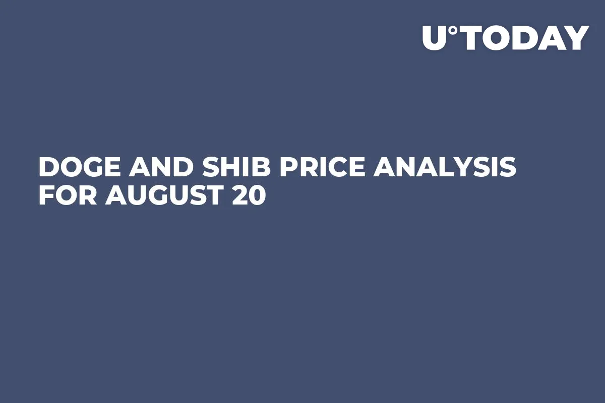 DOGE and SHIB Price Analysis for August 20